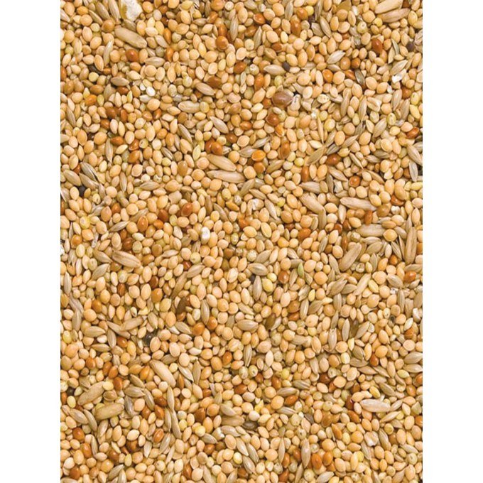ΦΥΣΙΚΗ ΤΡΟΦΗ BUDGIE MIX PANPET 5kg